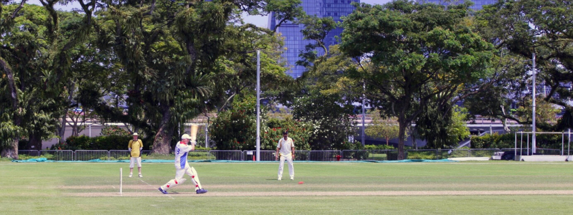 Cricket-3a
